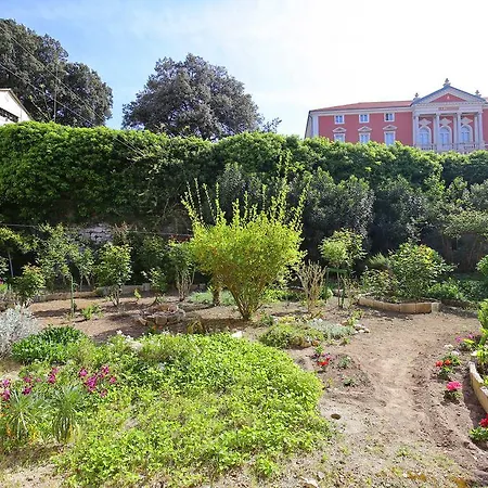Apartamento Happy Apartments Zadar *